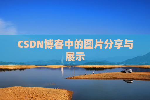 CSDN博客中的图片分享与展示